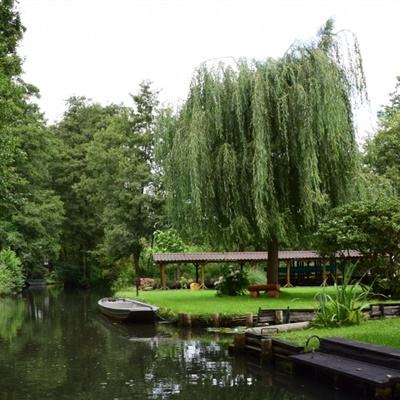 爱游戏网页版官方入口